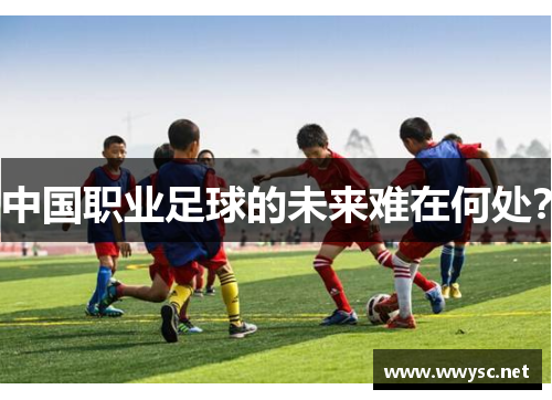 中国职业足球的未来难在何处？