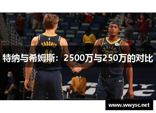 特纳与希姆斯：2500万与250万的对比